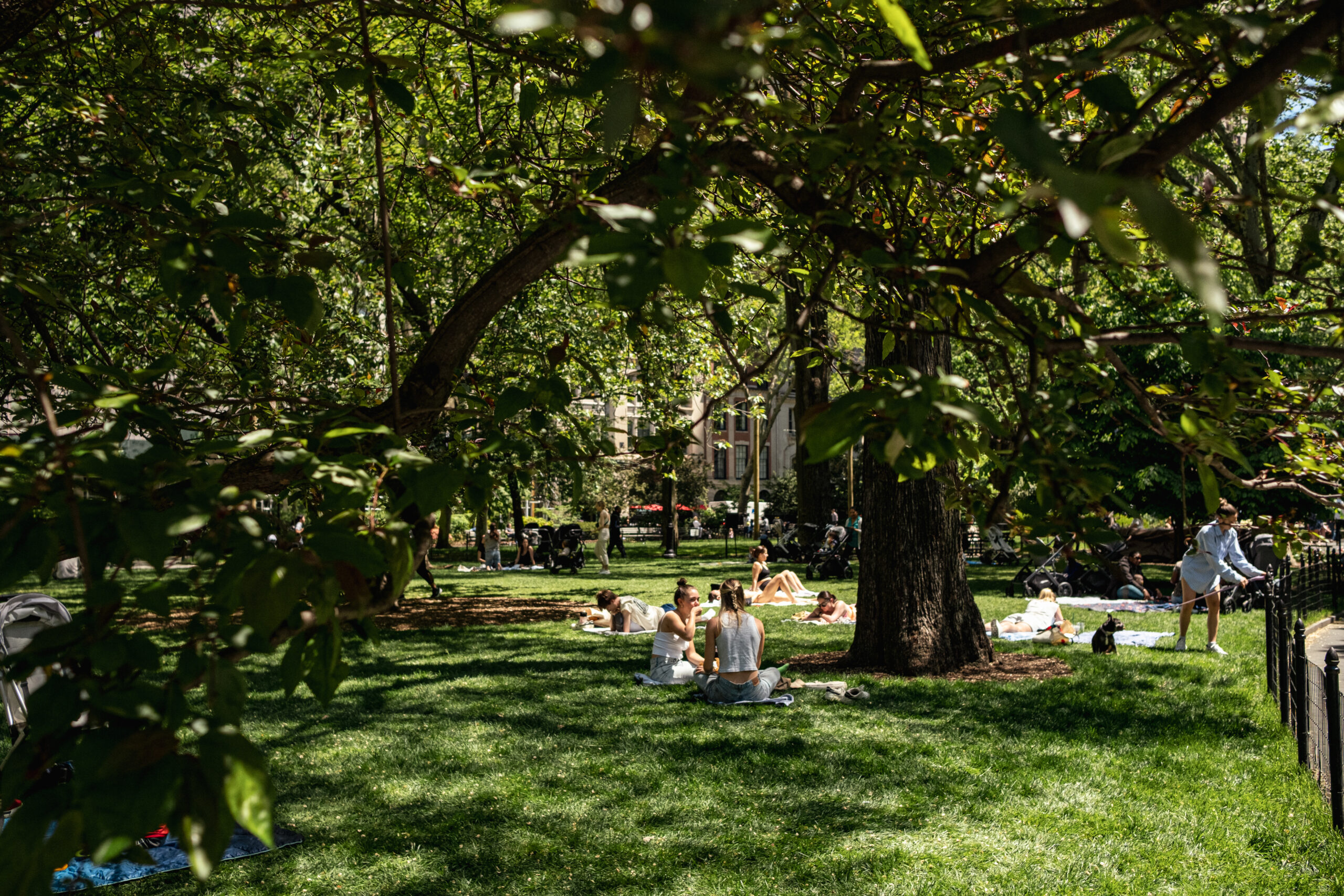 People relax in the park, seeking shade and comfort under the tree canopy.